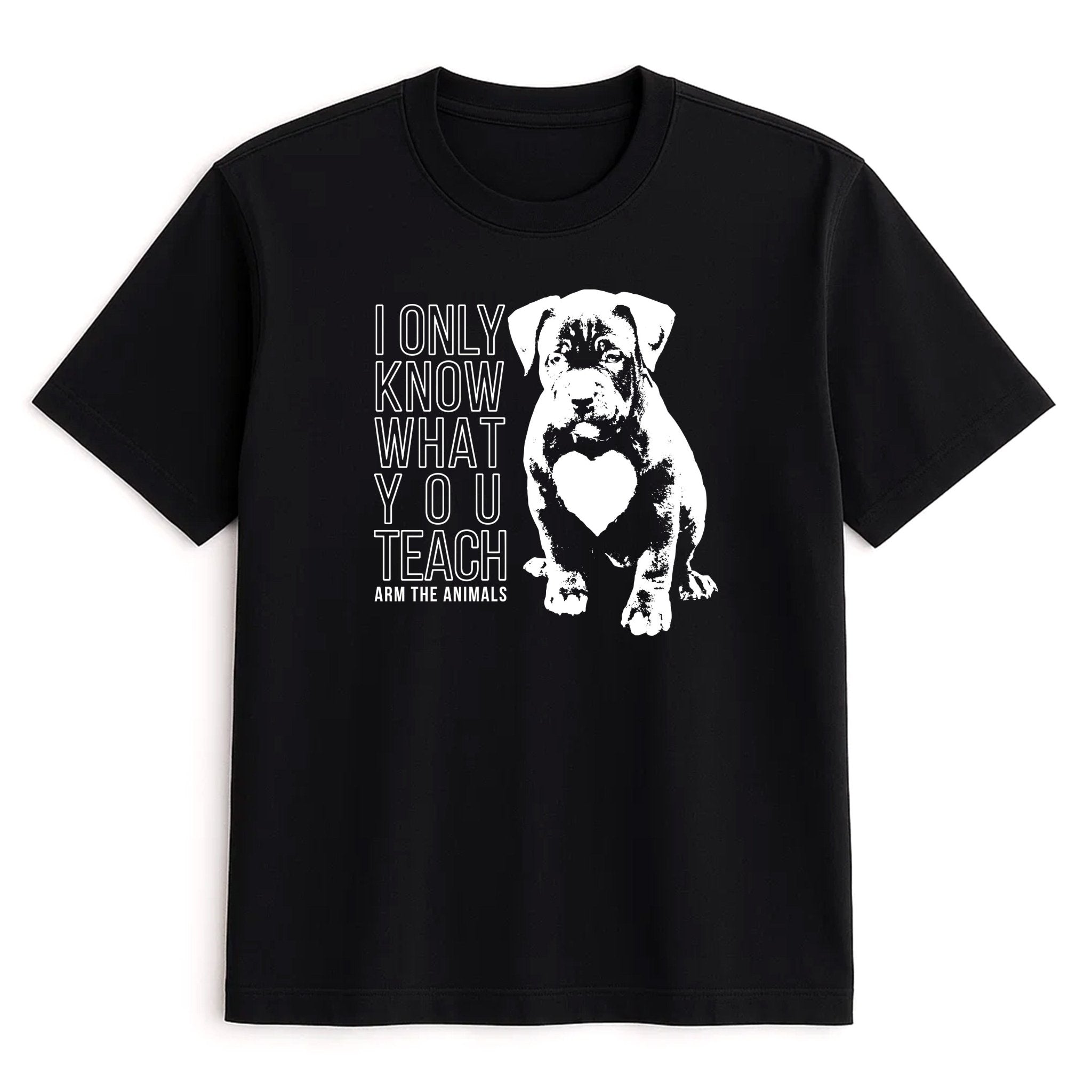 Unisex | What You Teach | Tee - Arm The Animals Clothing LLC