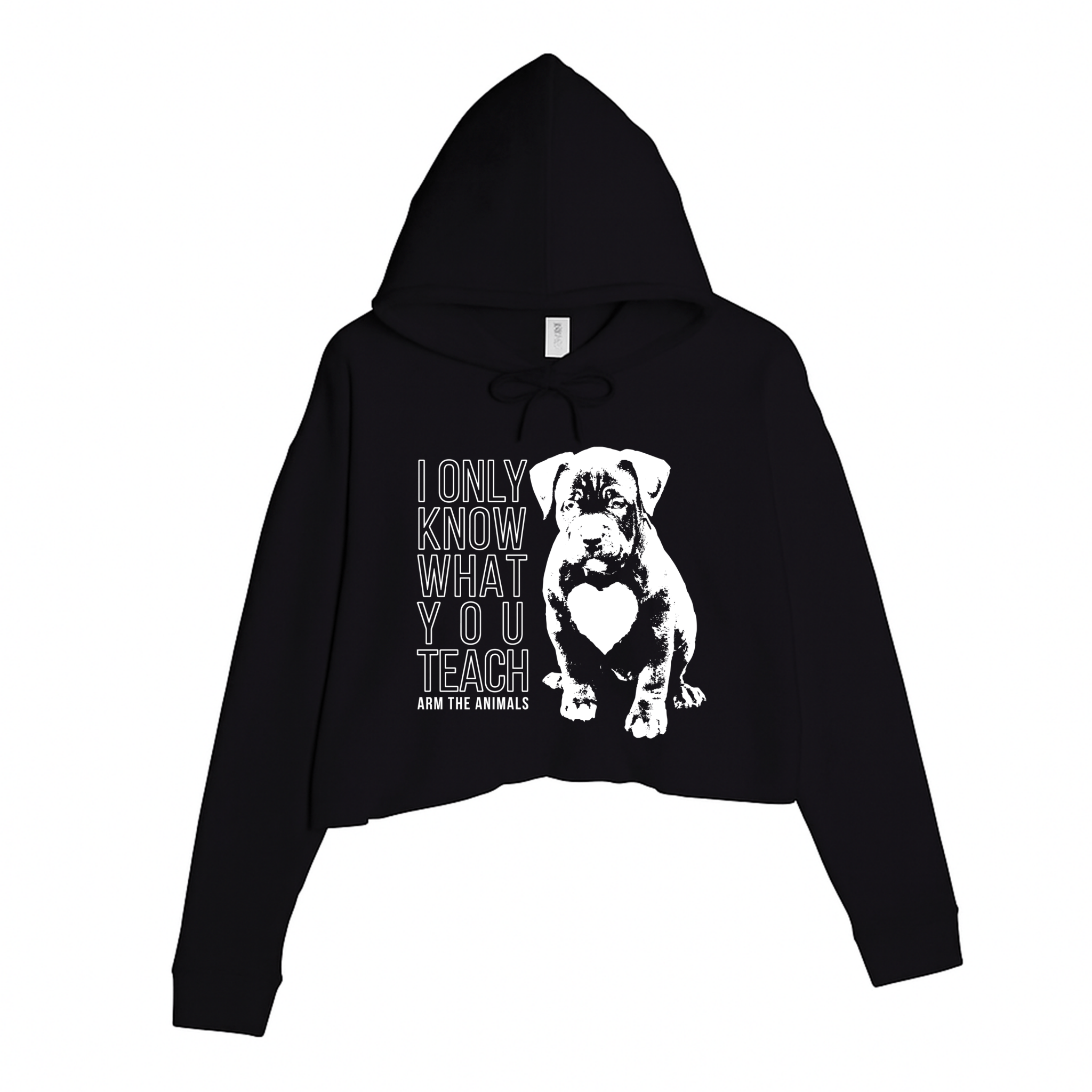 Women's | What You Teach | Crop Hoodie - Arm The Animals Clothing LLC