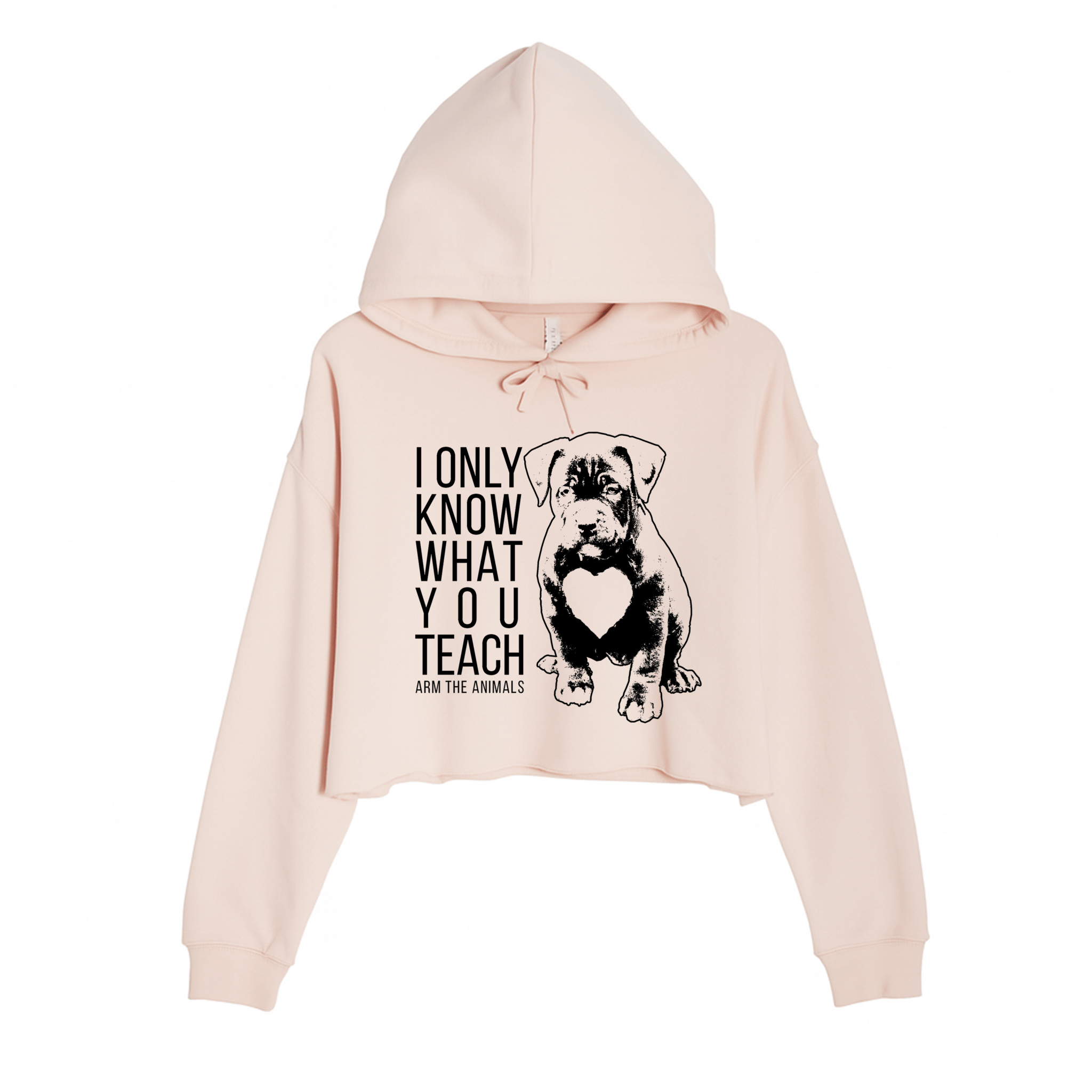 Women's | What You Teach | Crop Hoodie - Arm The Animals Clothing LLC
